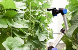 Boosting Durability of Electronics in Robotics, Grow Lights and Controllers for Indoor Farms